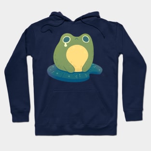 Sad Frog Hoodie